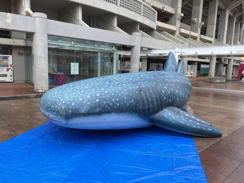 タピック県総ひやごんスタジアム