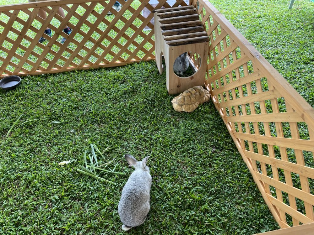 FC琉球　ミニ動物園