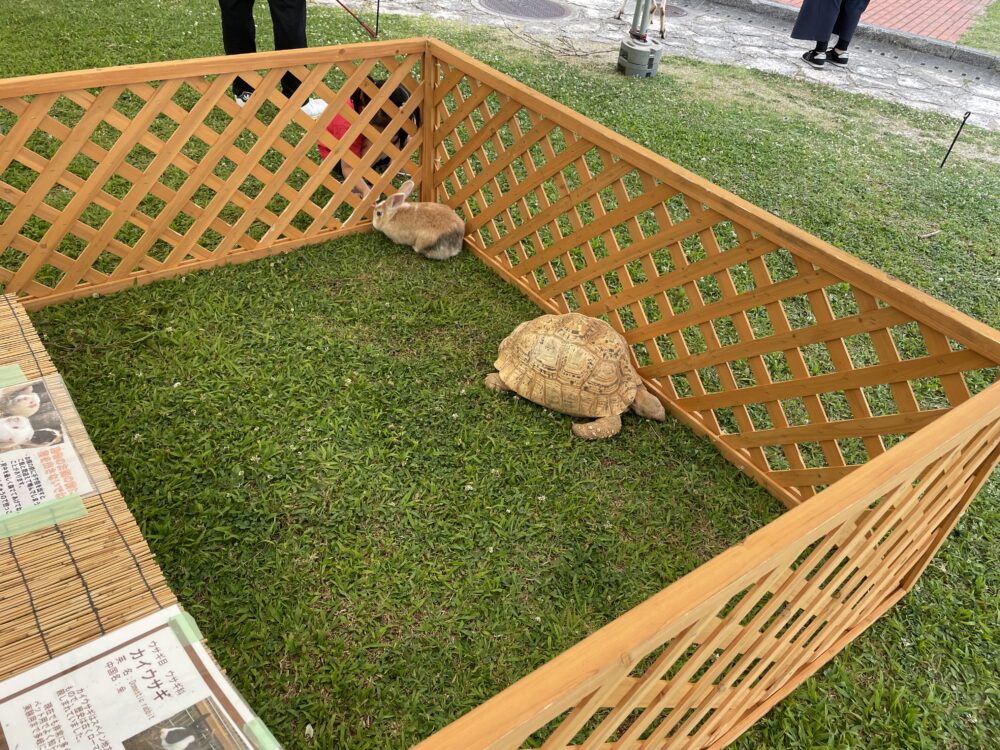 タピスタミニ動物園